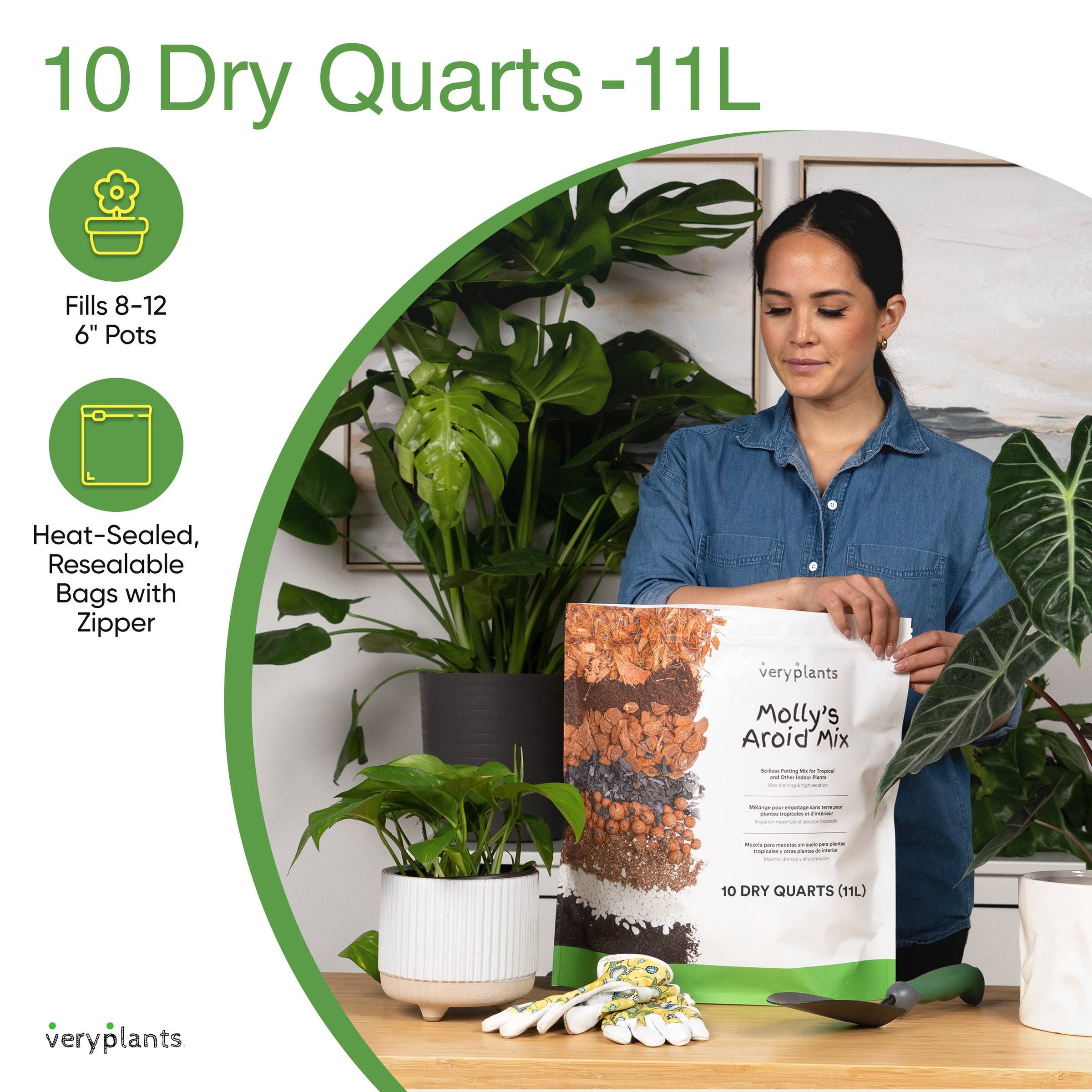 Molly's Aroid Mix - Premium Tropical Plant Soilless Potting: 5 Dry Quarts /  5.5L | Sparrow Design on 13th