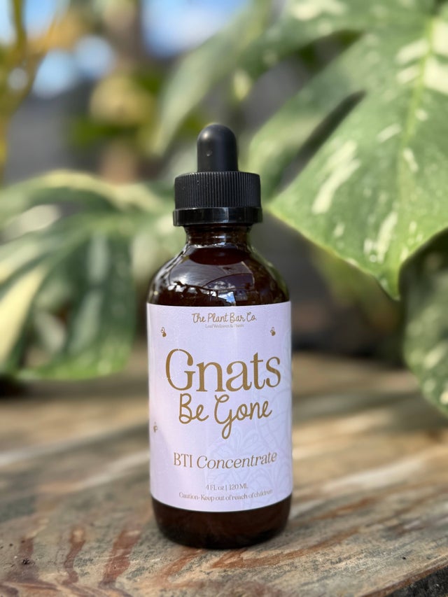 ⭐️ZOLOPIX ⭐️MINTABI ミンタビ 20+ Tutorial Kit Mizutani Scissors - ACRO Type Z-1